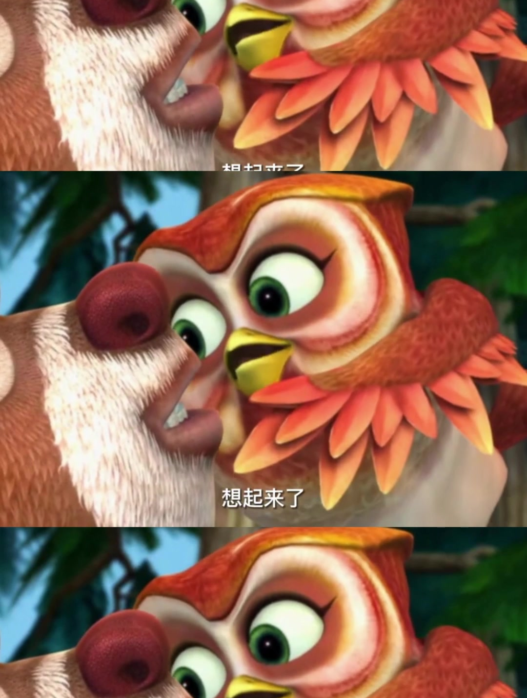 李麻花啊,熊出没