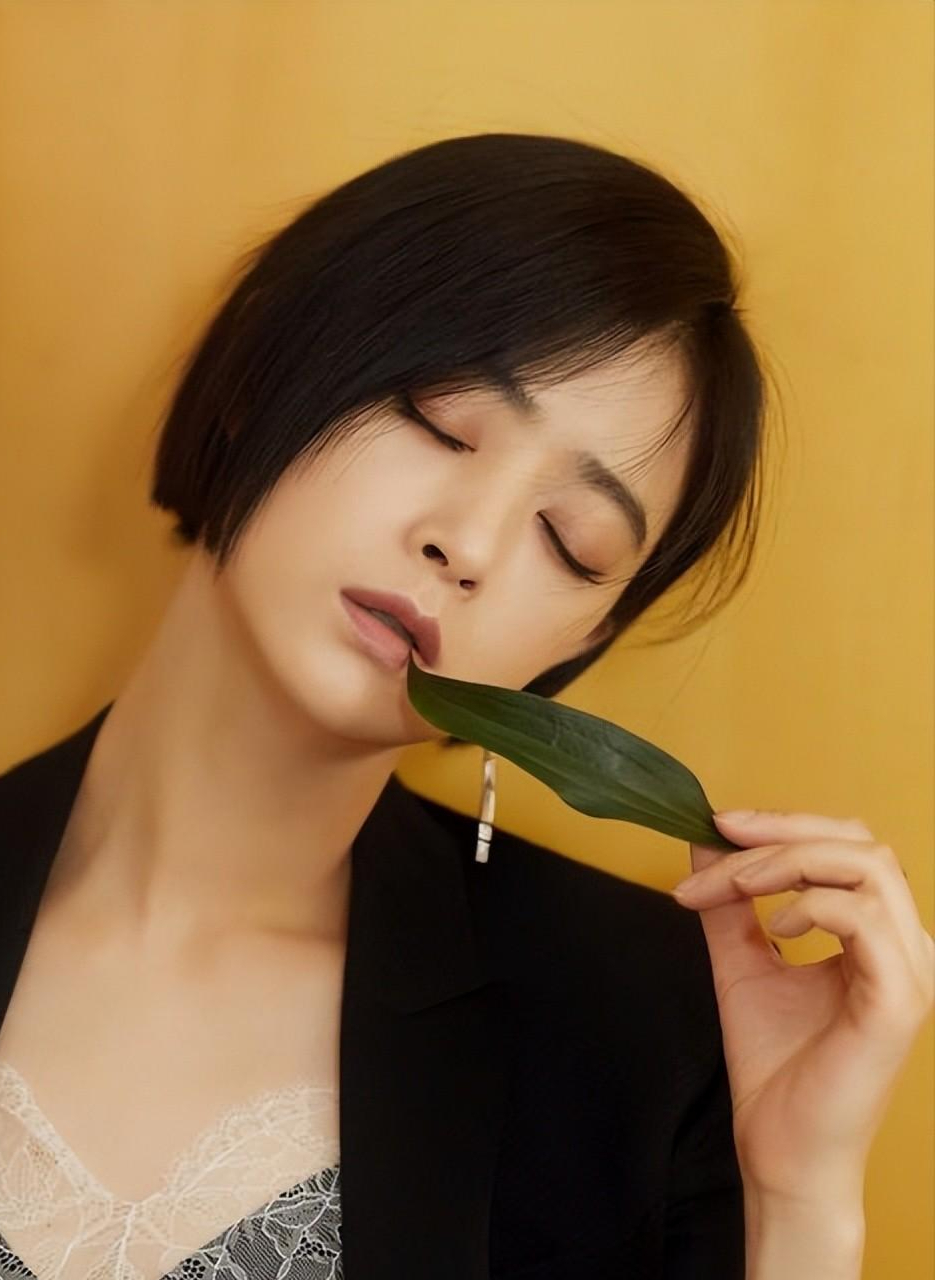 回顾句句命中要害蒋欣一张口韩红刘涛都得吓后退