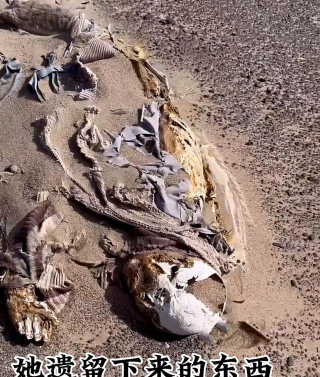 两具女性骸骨惊现无人区,引发怀疑是他杀而非自杀或意外