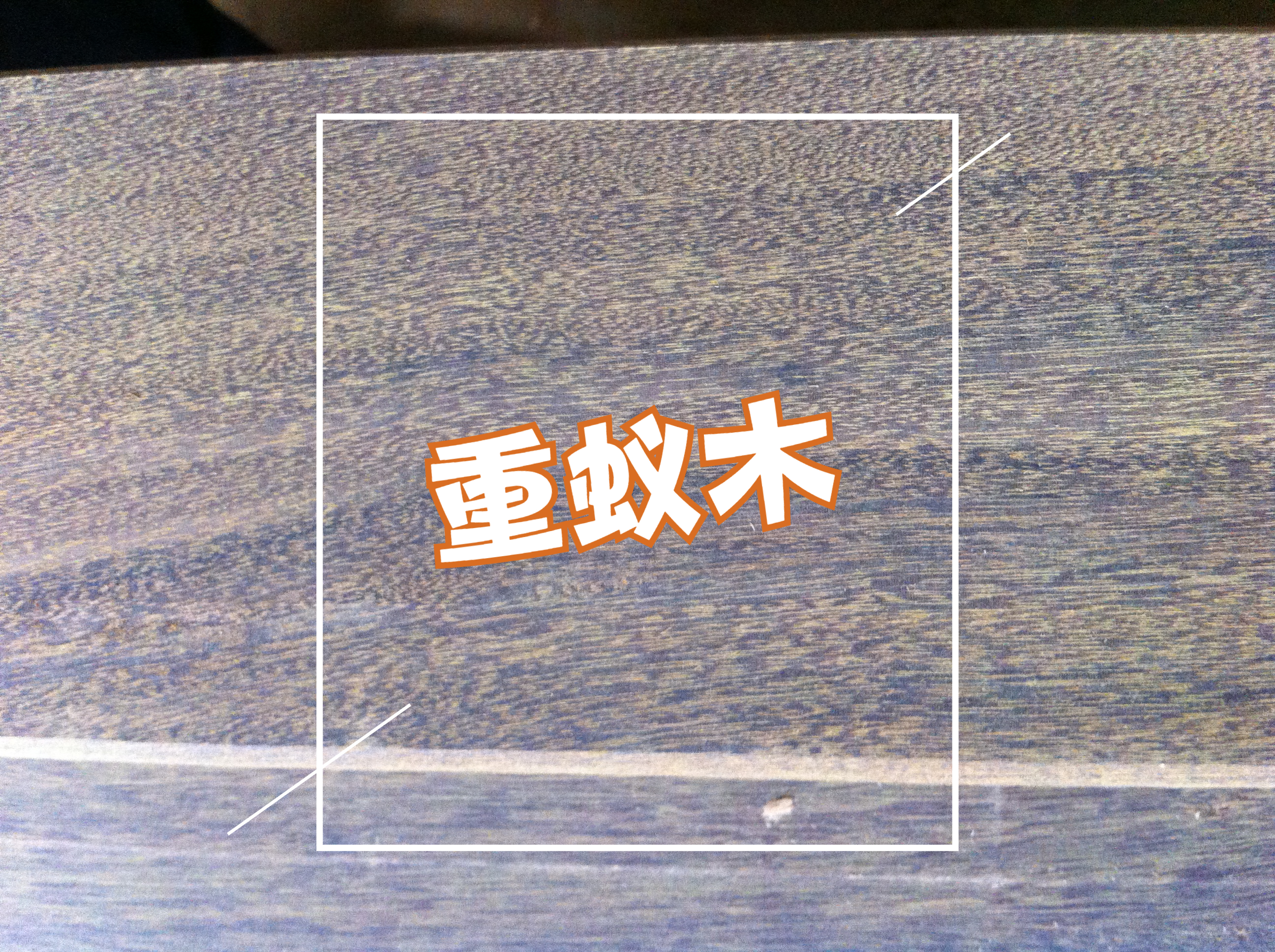 重蚁木是什么木,怎么选购重蚁木实木地板