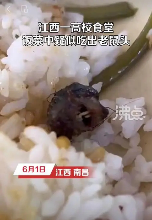 "鼠头鸭脖"事件真相曝光,广大网友赢了,但也输了!