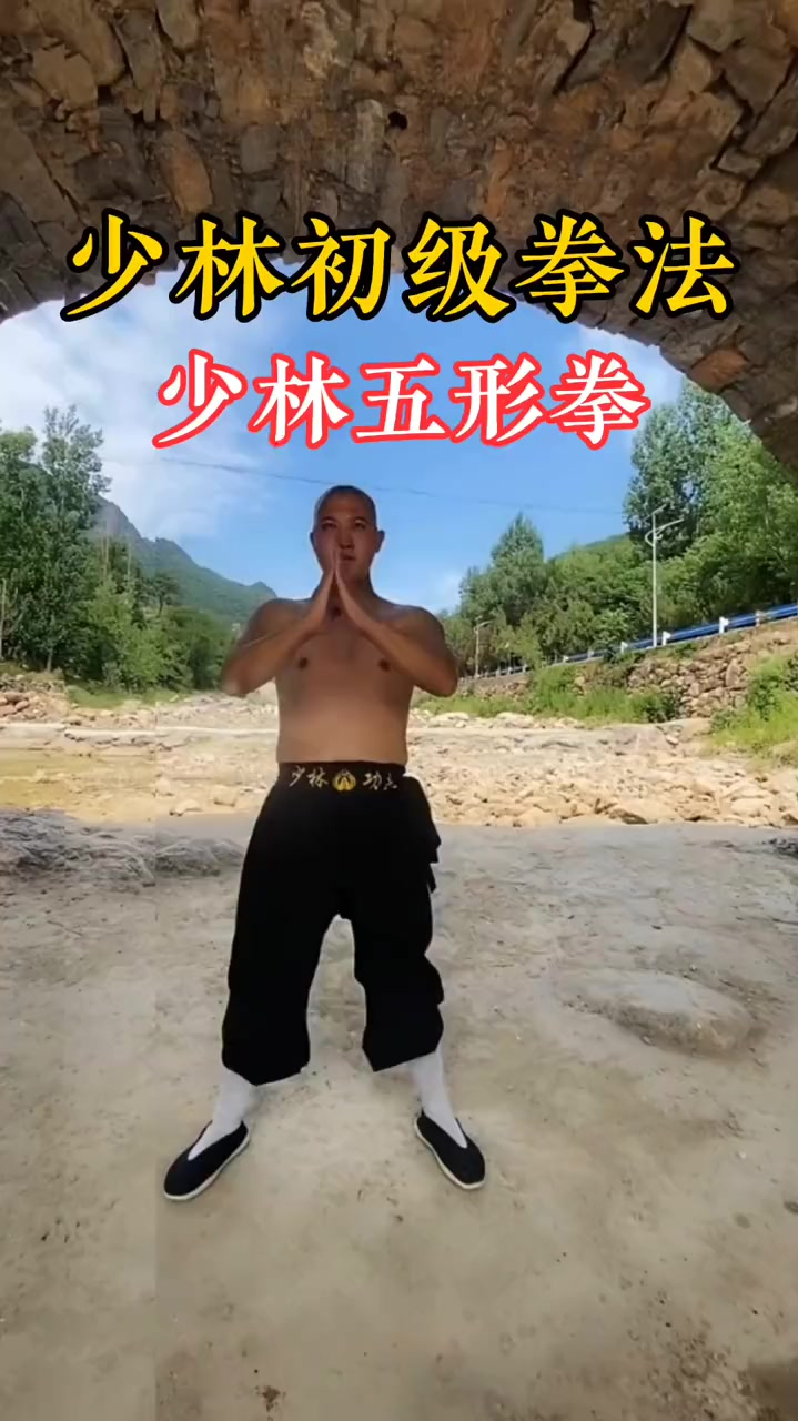 少林五形拳,龙拳练神,虎拳练骨,豹拳练力,蛇拳练气,鹤拳练精-度小视
