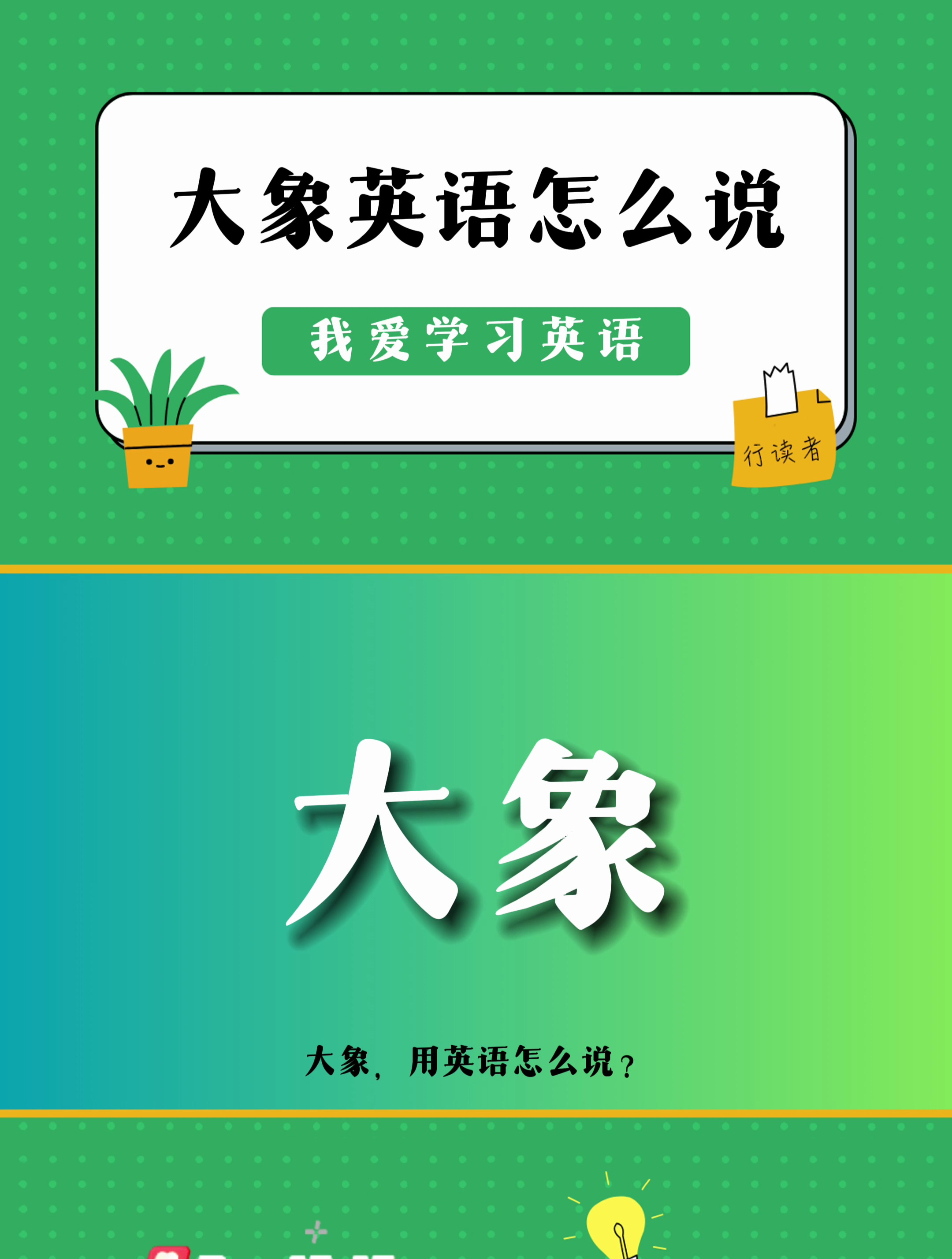 英语单词:大象,用英语怎么说