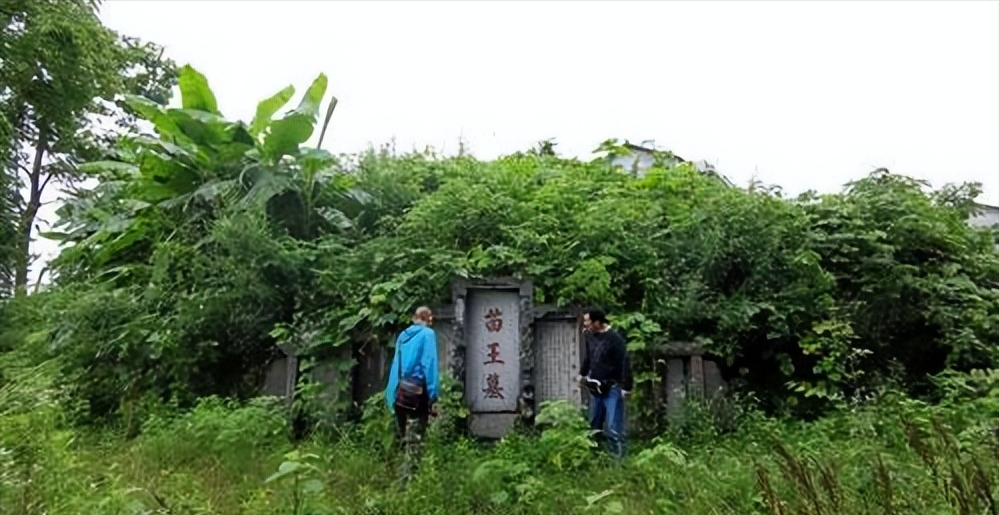 回顾贵州发现苗王墓,墓边不仅有巨蛇保护,棺木还在河面上漂浮?
