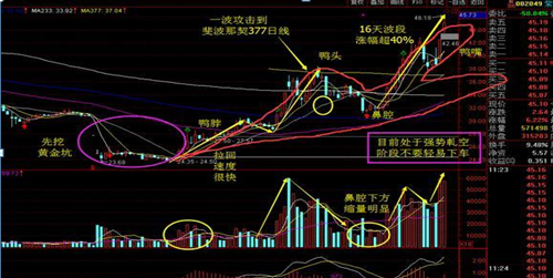 强势老鸭头图片