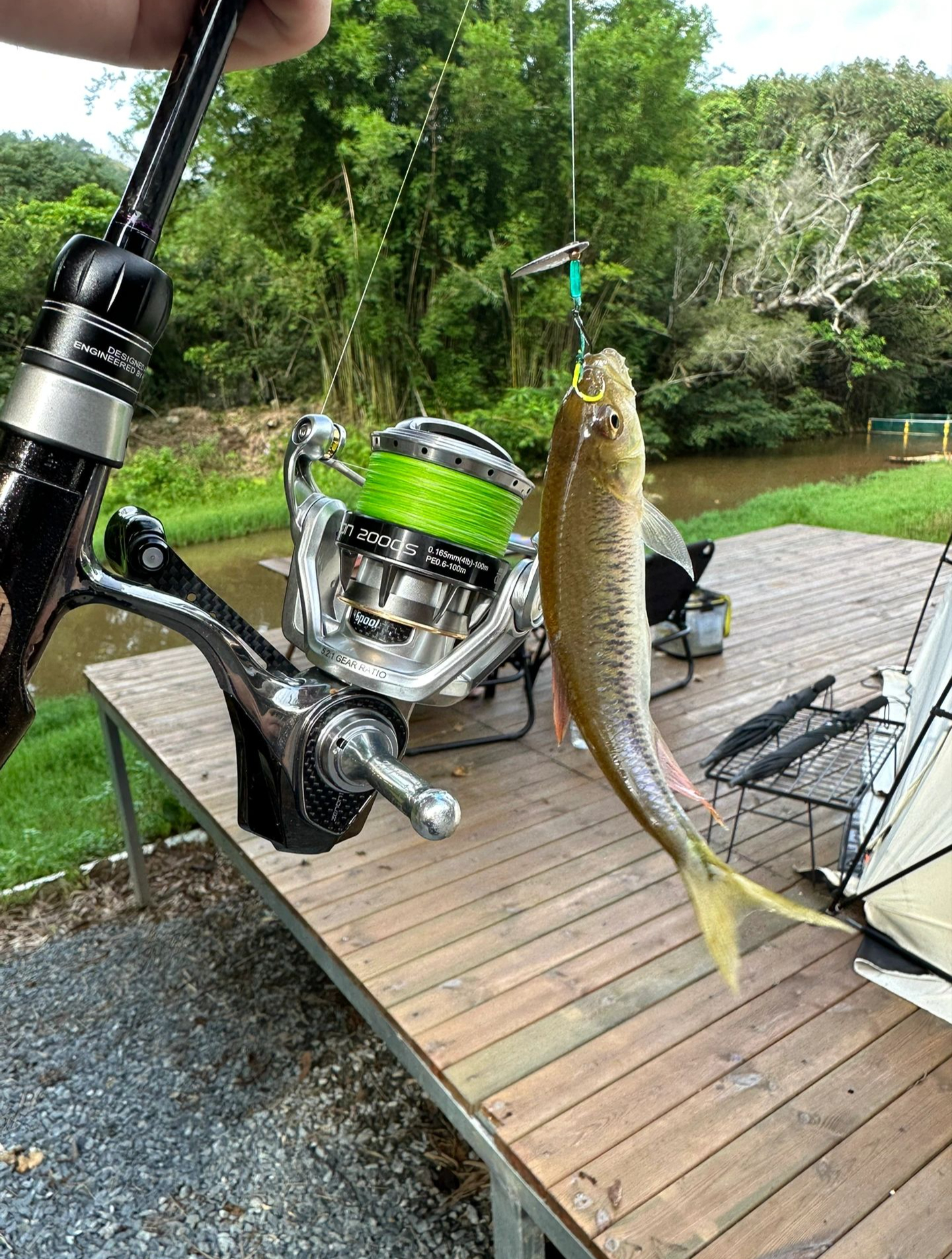 路亚马口用什么线好(路亚马口一般用什么线)