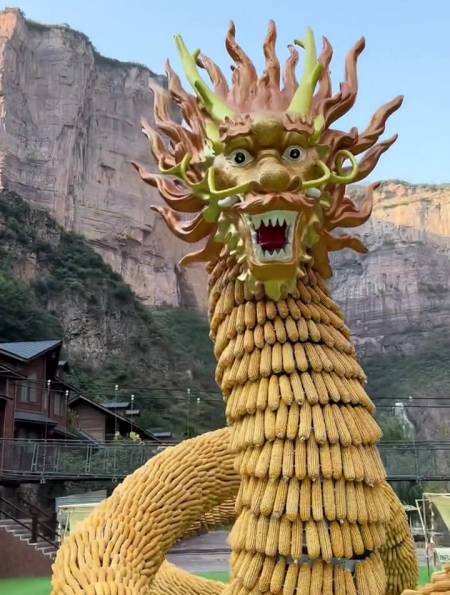 再晒晒,马上把12亩地做的玉米龙变成粮食了-度小视