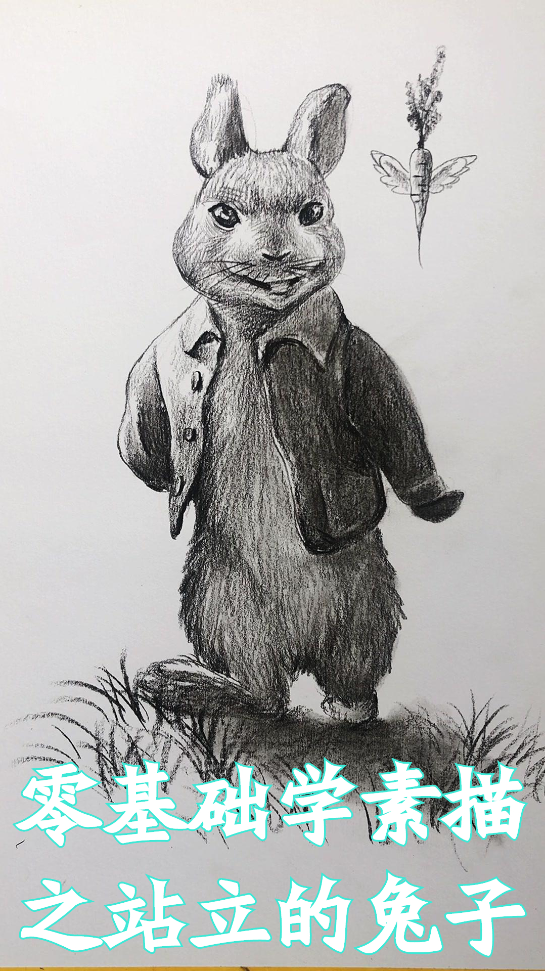 站着的兔子的画法图片
