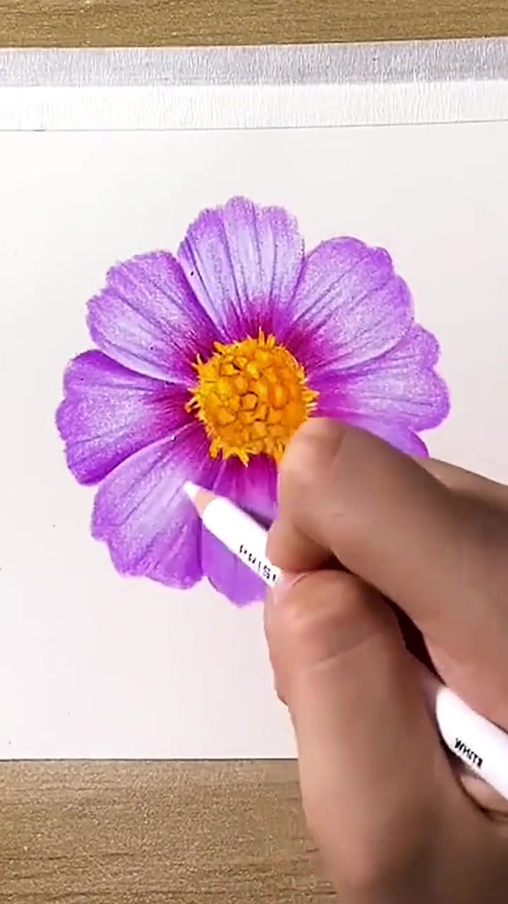 彩铅画非常详细的紫色花卉教程