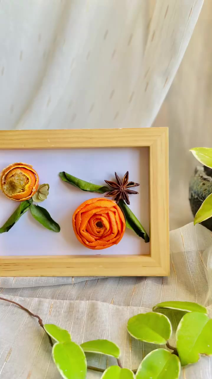 创意橘皮装饰画