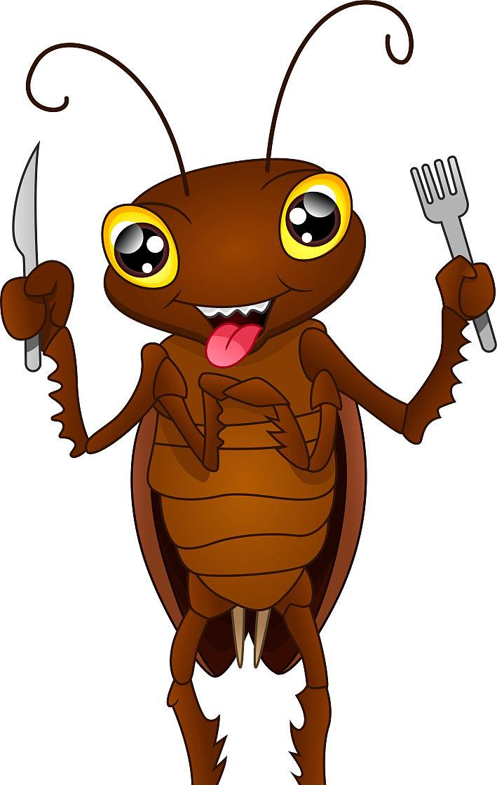 九成人不晓得蟑螂的"天敌"是啥:屋里放个它,蟑螂全都"逃光"