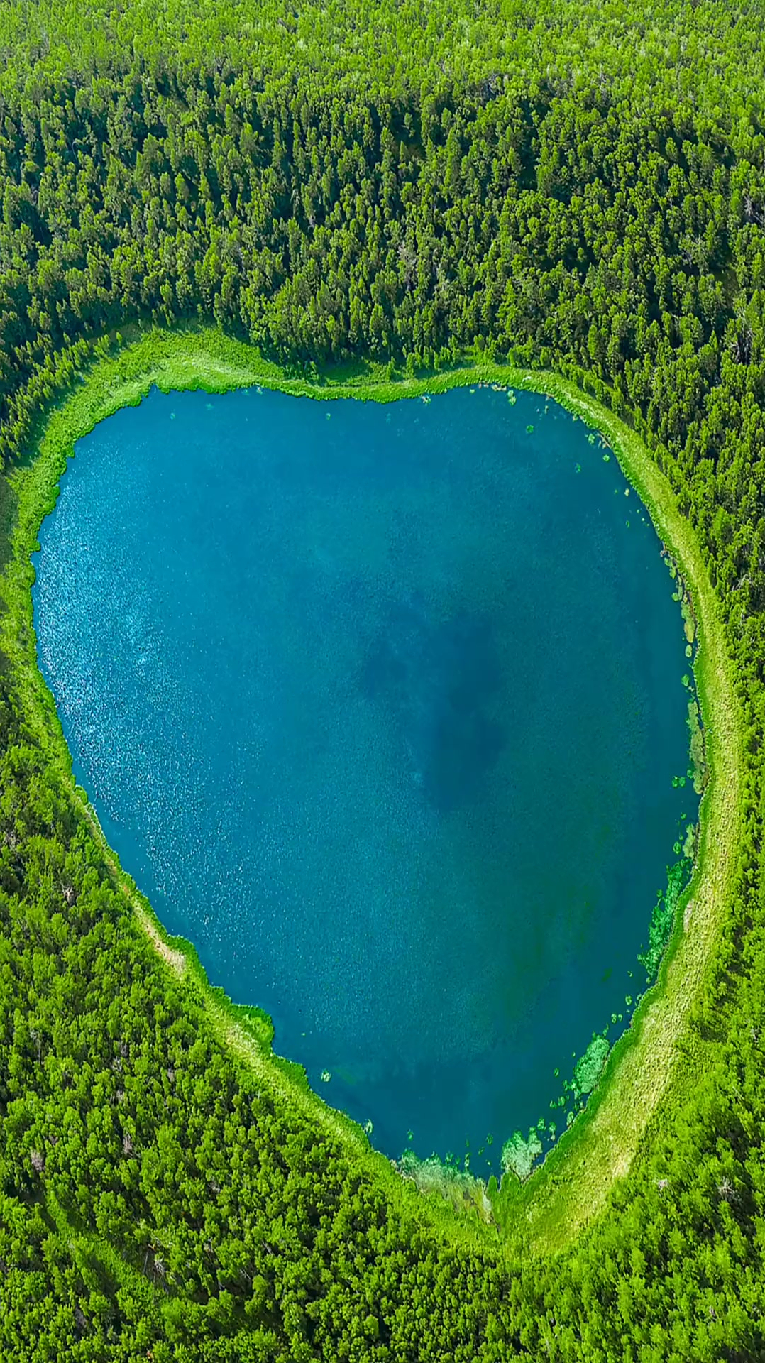 这里是阿尔山天池,如果你不能来,我拍给你看