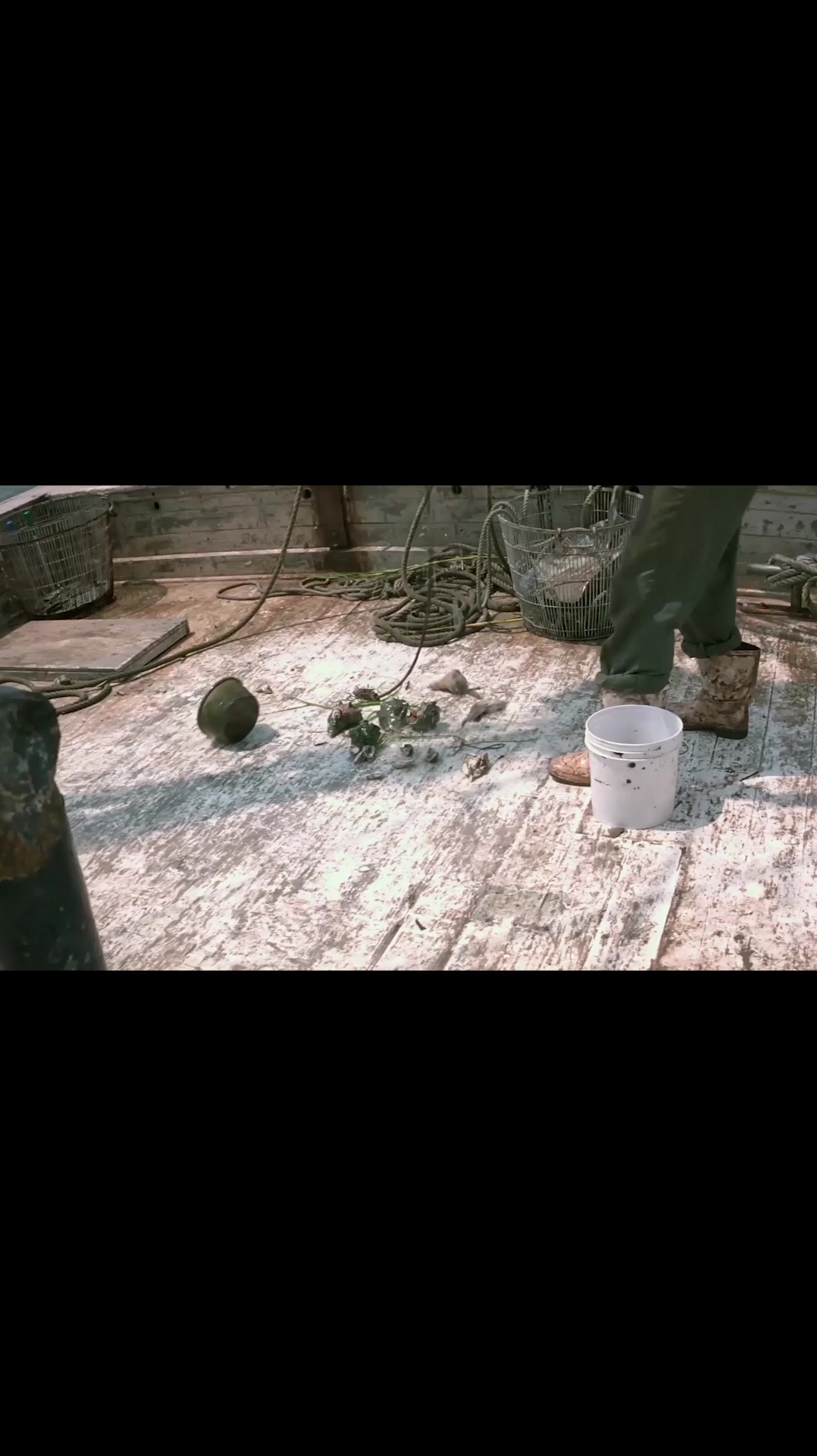 阿甘正传阿甘出海捕虾结果发现太难了