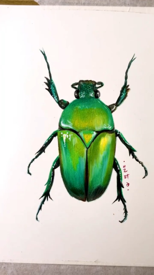 五分钟教你画超写实的彩铅甲壳虫