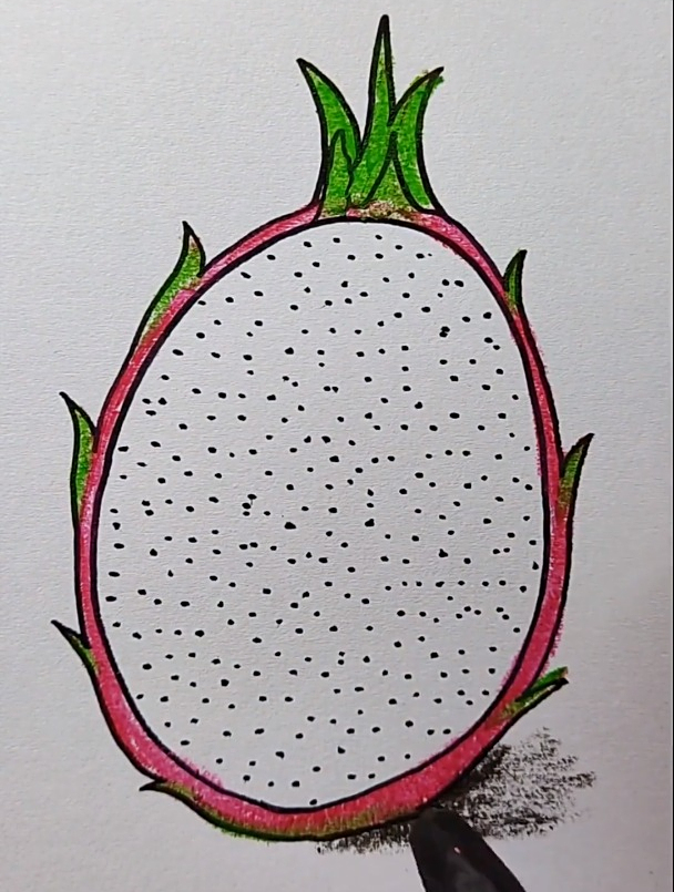 火龙果这样画,秒会 简笔画