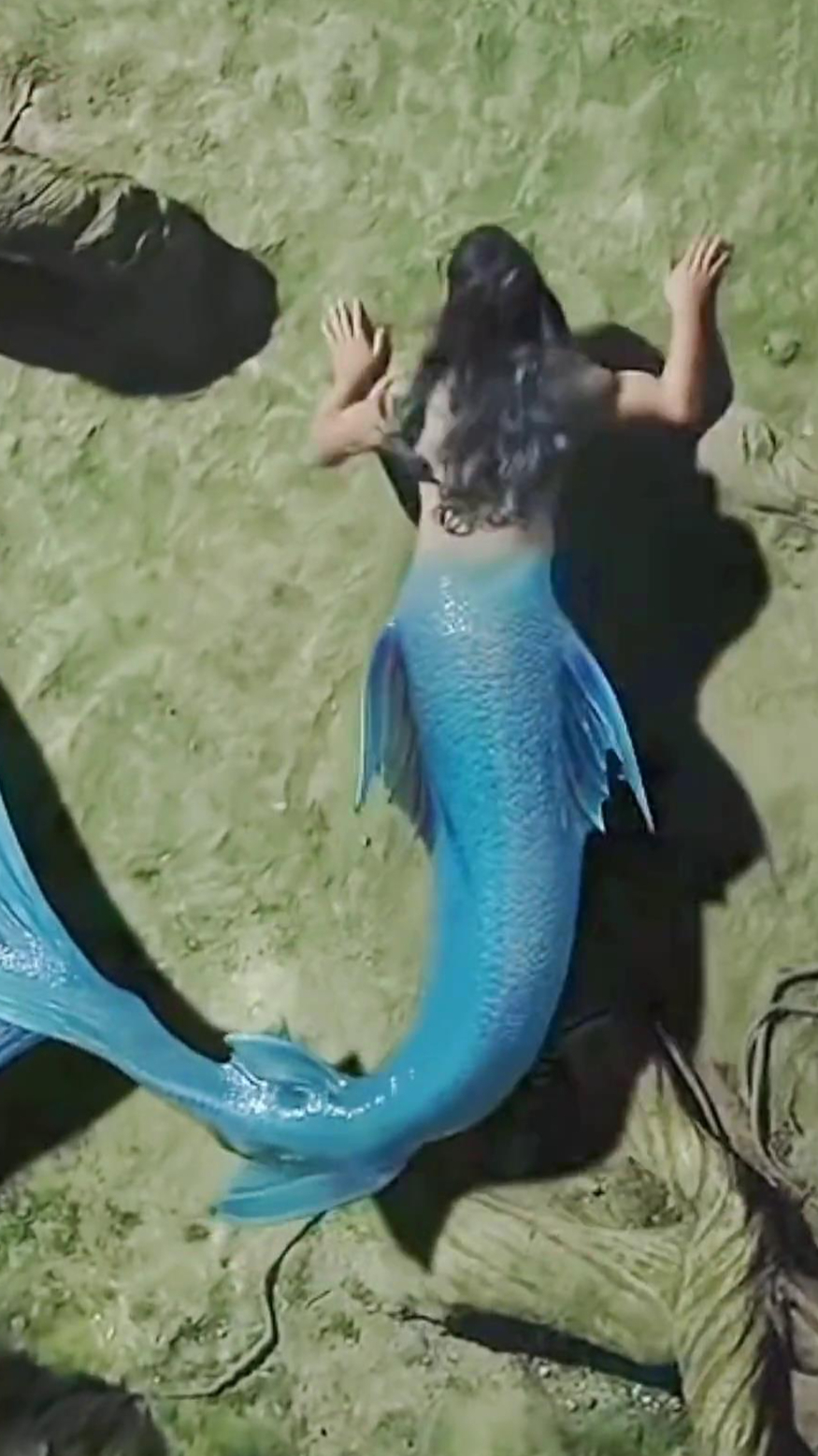 开机时嘉伦的蓝发造型和妆容很好看的,美男鱼绝绝子,爱了爱了!