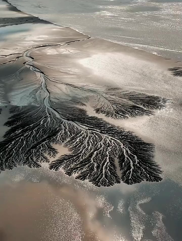 钱塘江大潮退潮后现奇观"潮汐树",宛如一幅晕染开的巨型水墨画-度小视