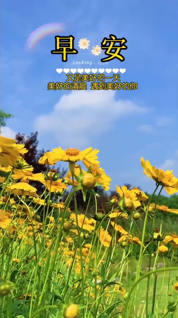 风景欣赏浅夏享受这般阳光的温暖花草的芬芳早安