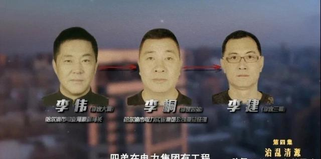 哈尔滨国网"巨贪"李伟落马:狂敛近10亿,豪车96辆,被判死缓