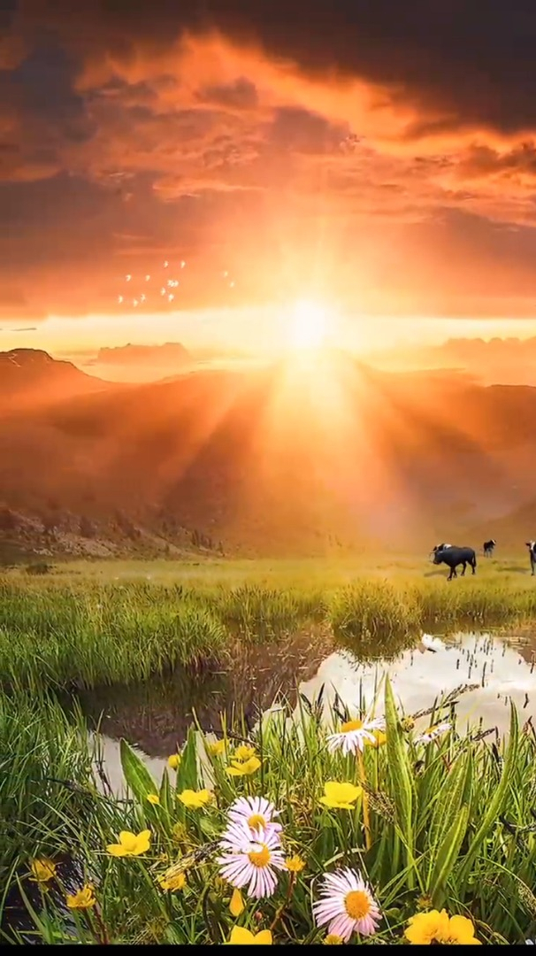 治愈风景欣赏:拂晓的光,刺透翻涌的云海,氤氲