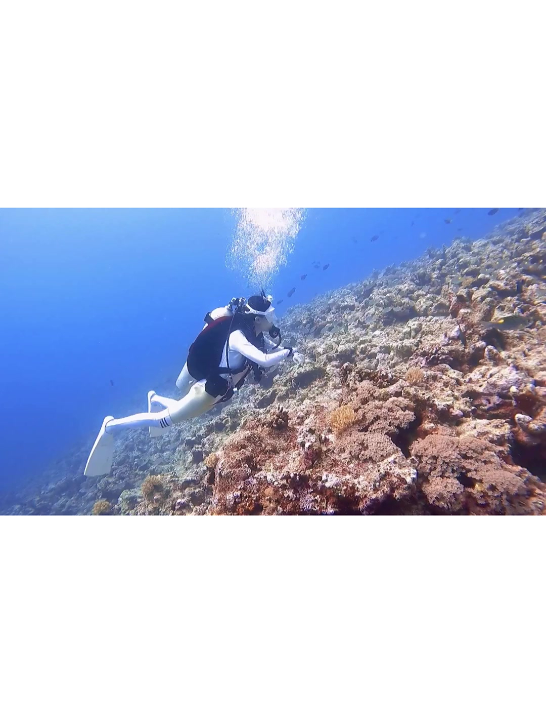 比基尼美女,游泳馆自由潜水,随便扭扭能满足你一切幻想!