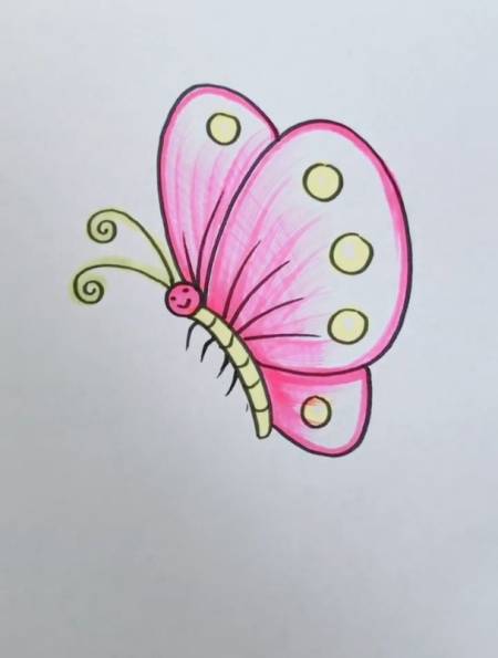 蝴蝶有几只脚今天蝴蝶这脚画的尴尬了四只半