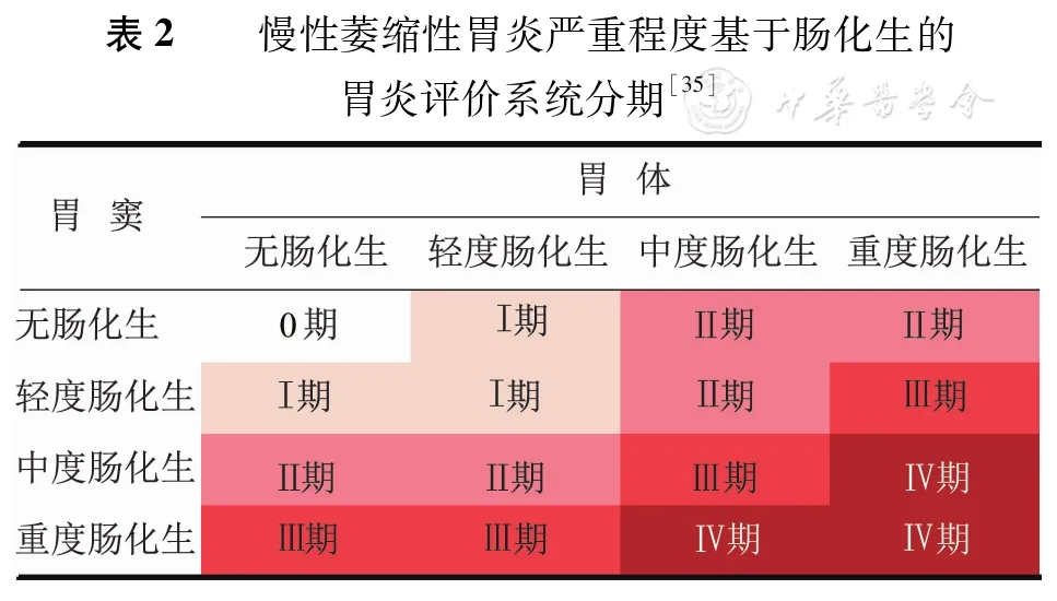 萎缩性胃炎有也分等级,怎么判断严不严重?