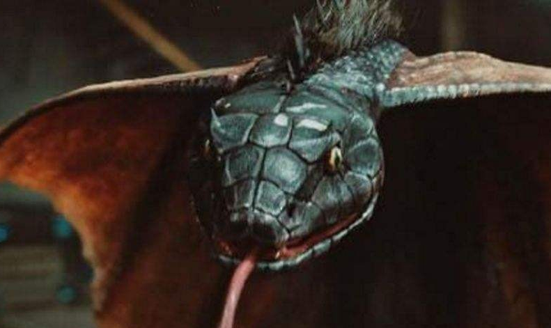 《盗墓笔记》西王母神秘陨石中发现的"蛇矿"的秘密