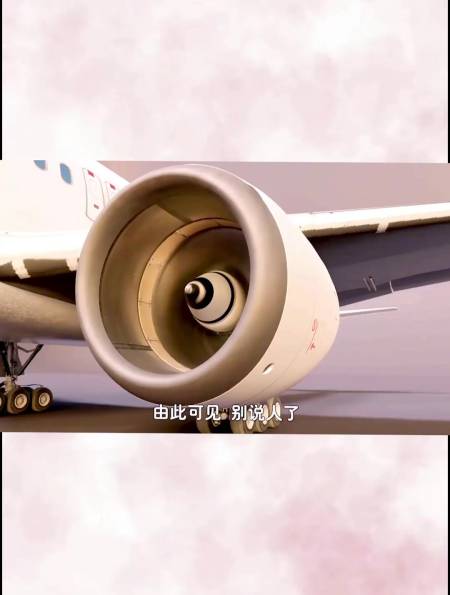 如果人被吸入飞机发动机,会发生什么?-度小视