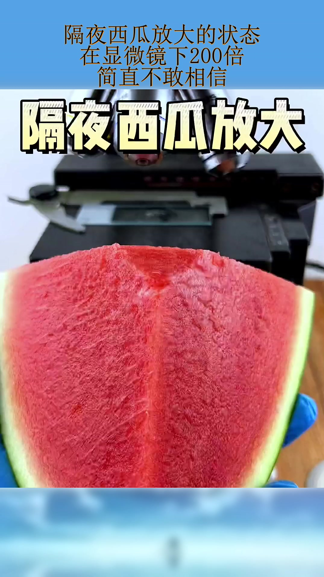 隔夜西瓜放大的状态在显微镜下200倍简直不敢相信