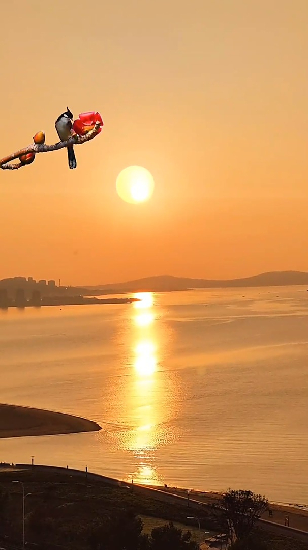 优美大自然:清晨的第一缕阳光,早安