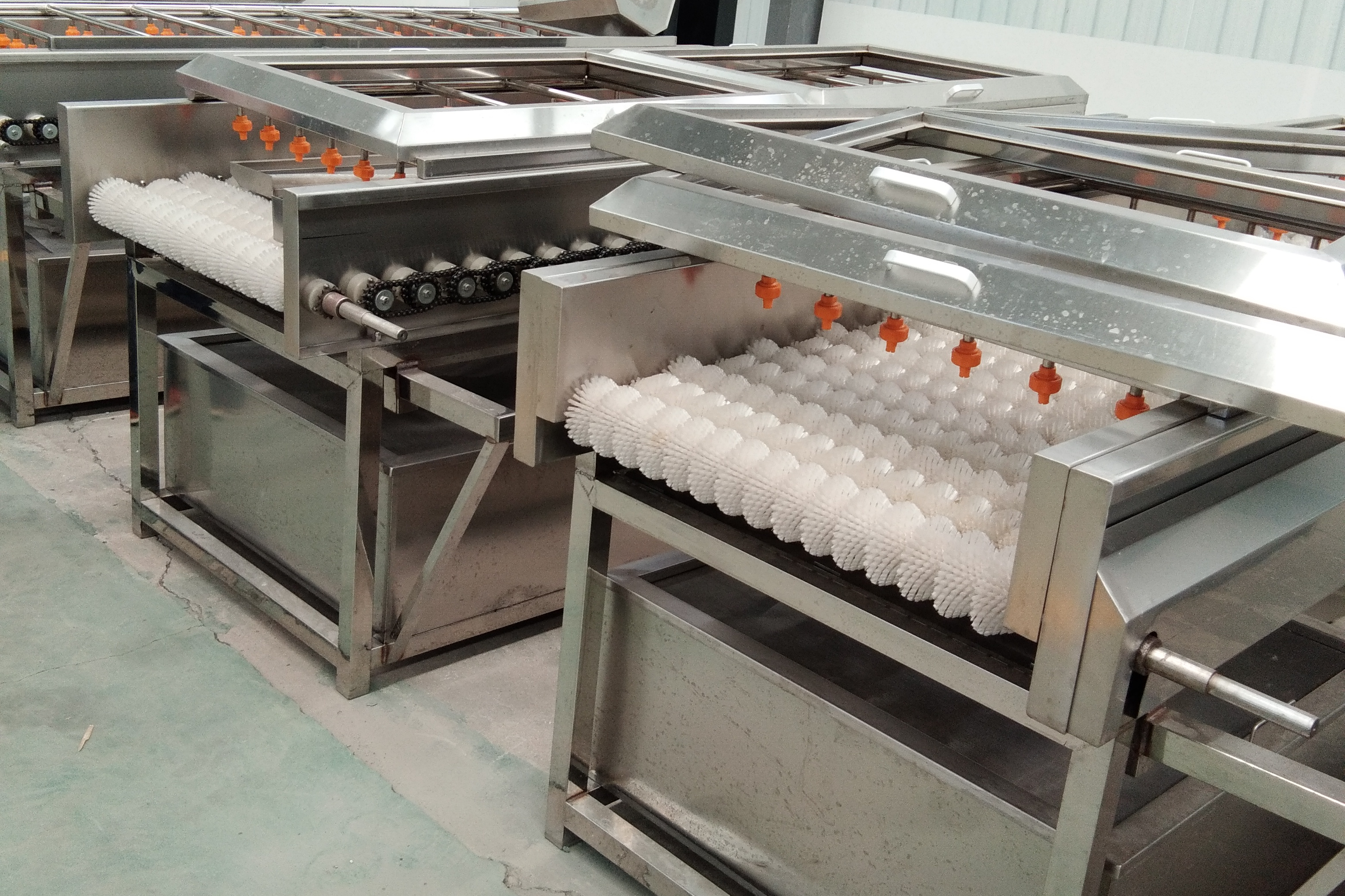 软硬毛辊去皮清洗机 猪头羊头猪蹄子毛辊清洗机