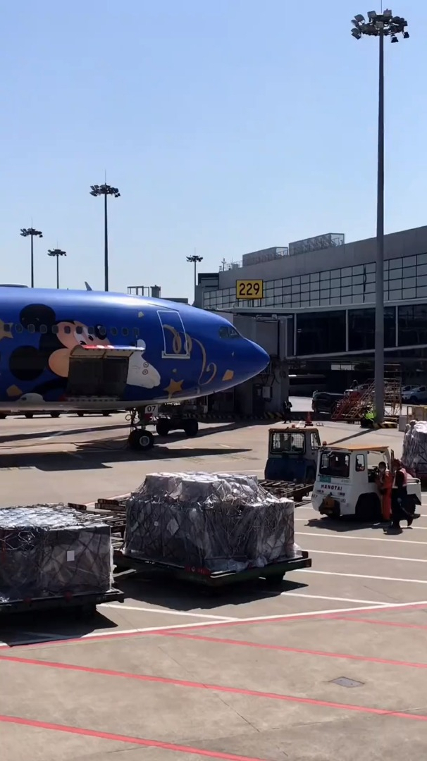 上海迪士尼专属飞机,2000块钱一张票,带你去童话的王国!