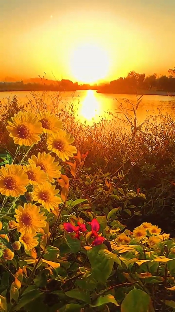 治愈风景欣赏:人心不能温暖你的,但是太阳可以