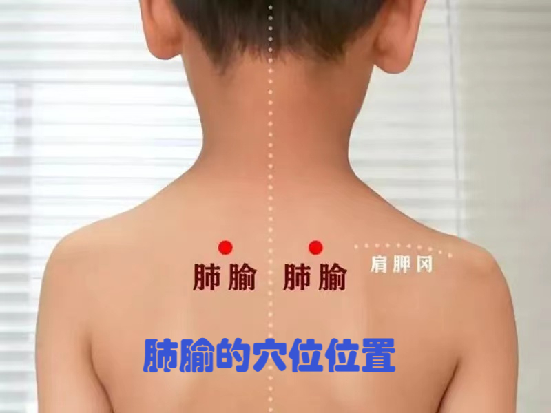 肺俞的具体位置和作用