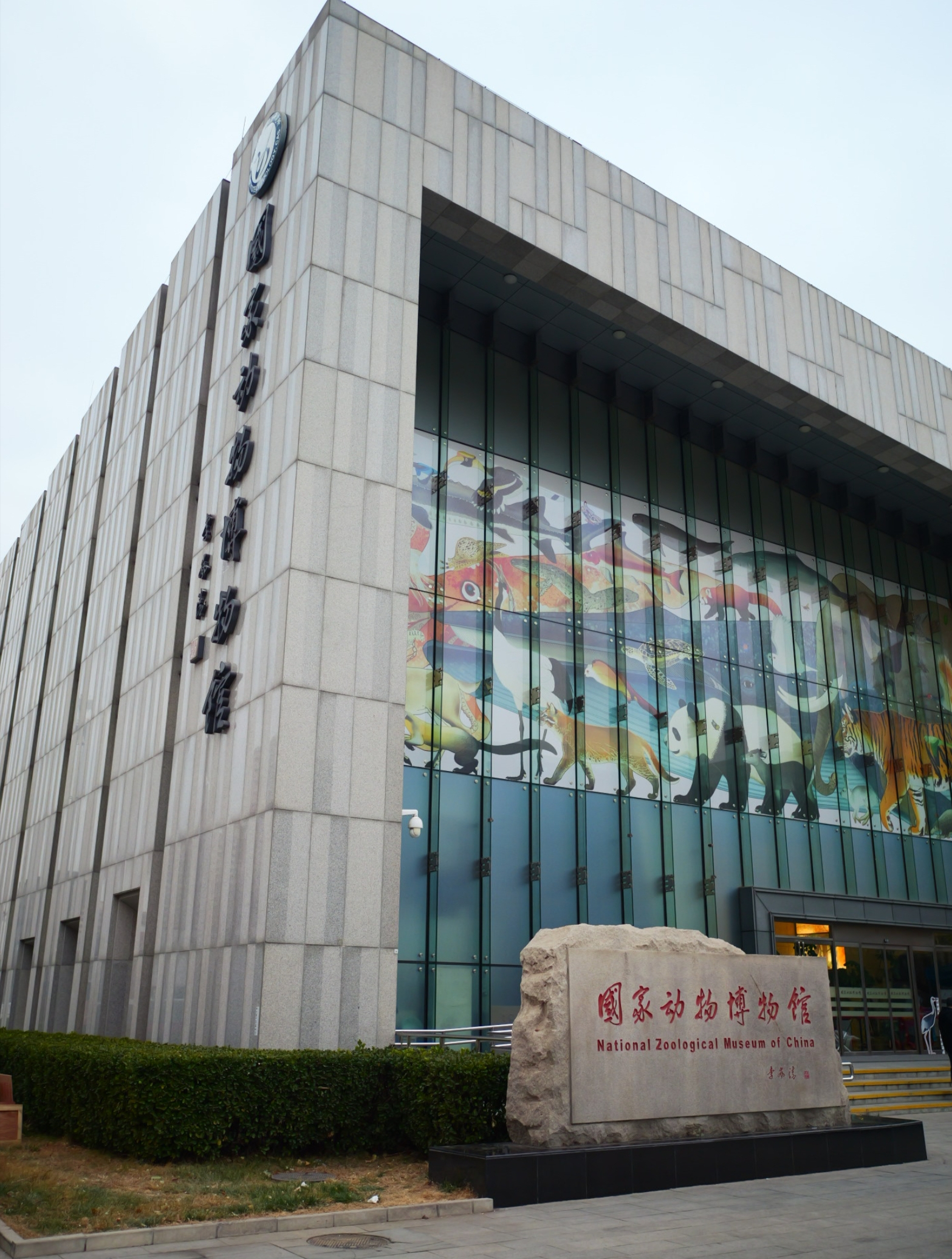 国家动物博物馆阅览打卡 参观动物标本大赛 600件标本展出