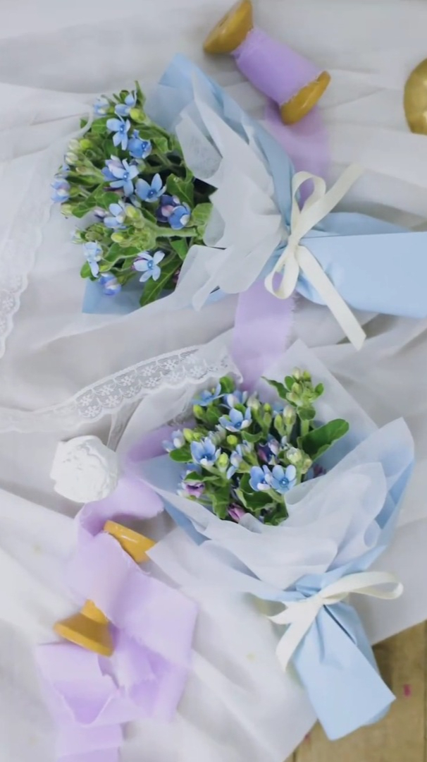 蓝星花小花束可爱又高冷的蓝色小花