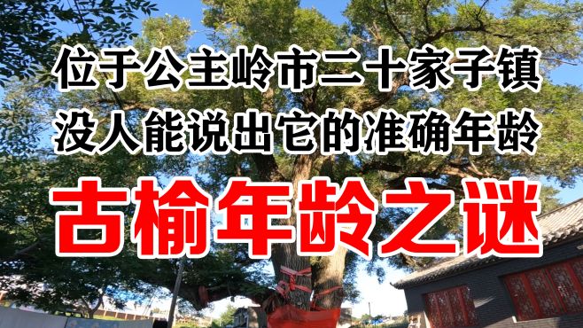 [图]公主岭市二十家子镇有一棵古榆，没有人能说出它的准确年龄