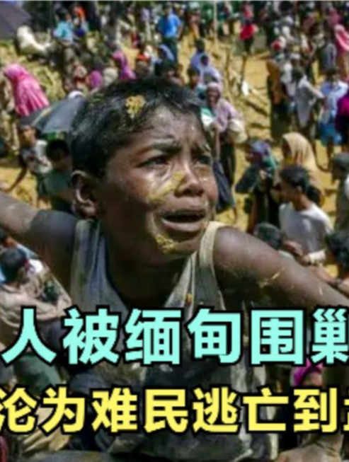 缅甸到底有多乱?士兵随意打死人,罗兴亚人只能四处逃生