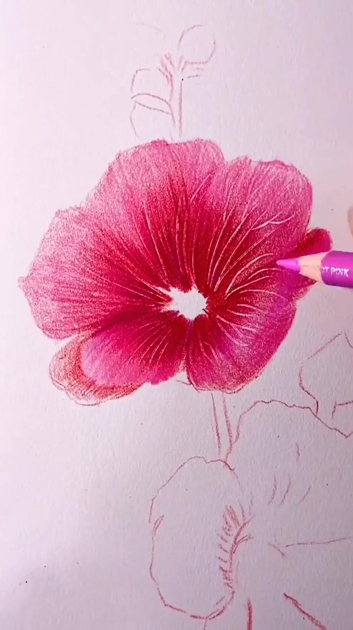 画朵桃花送给你,彩铅画