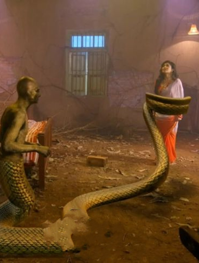 印度蛇电影图片
