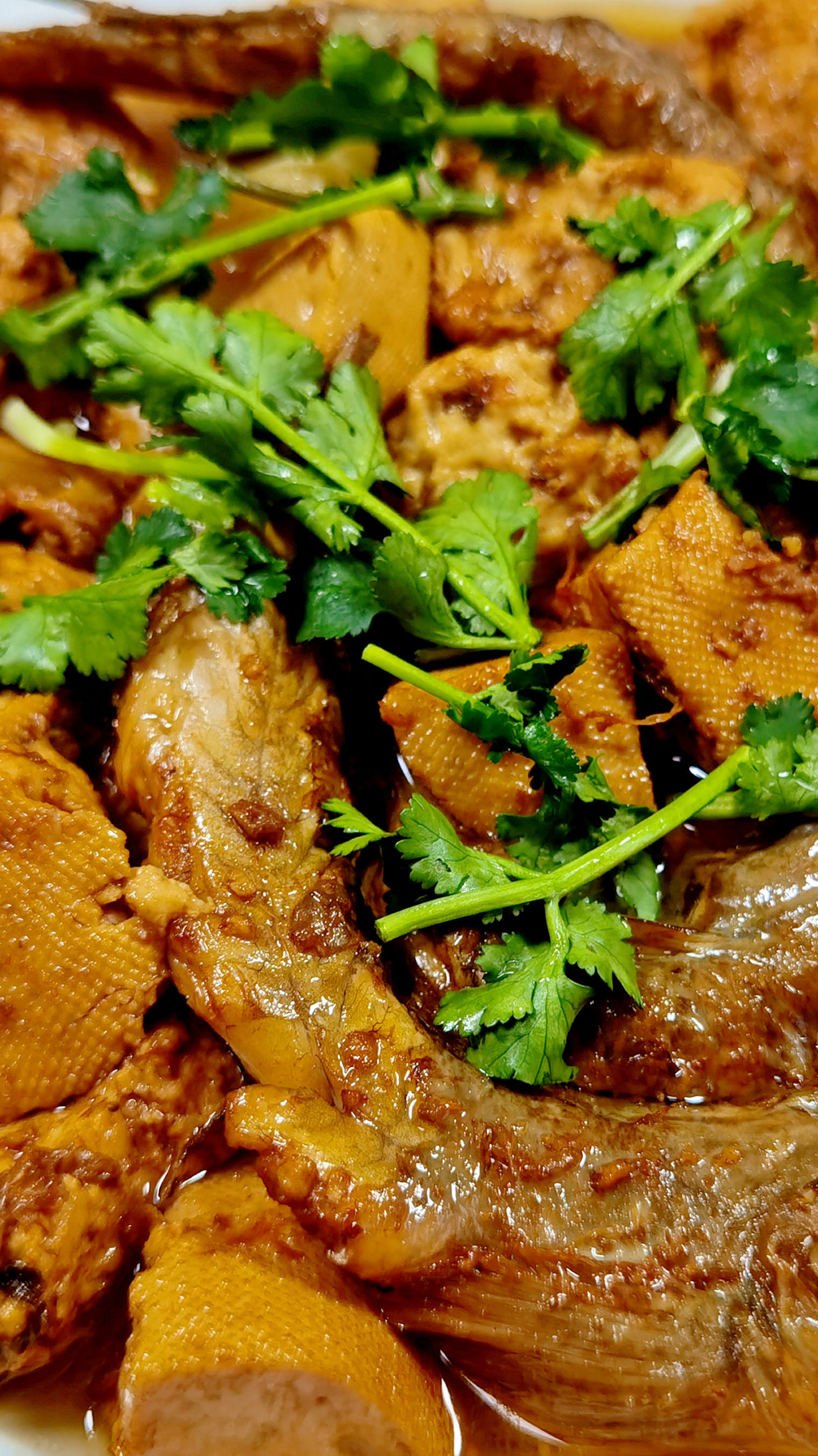 海鲶鱼炖豆腐鲜美营养好吃又解馋