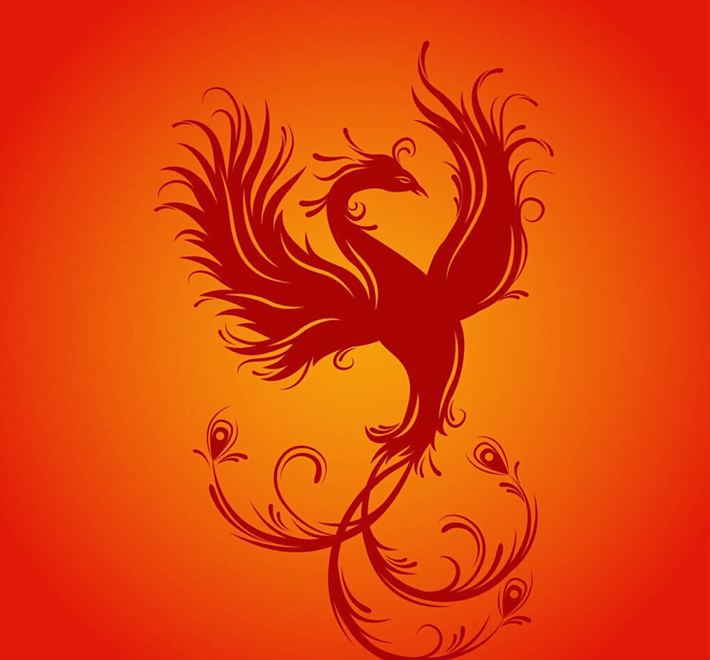 《除我以外全员非人》:穿着马甲的小九凤,逃不过小金乌的火眼