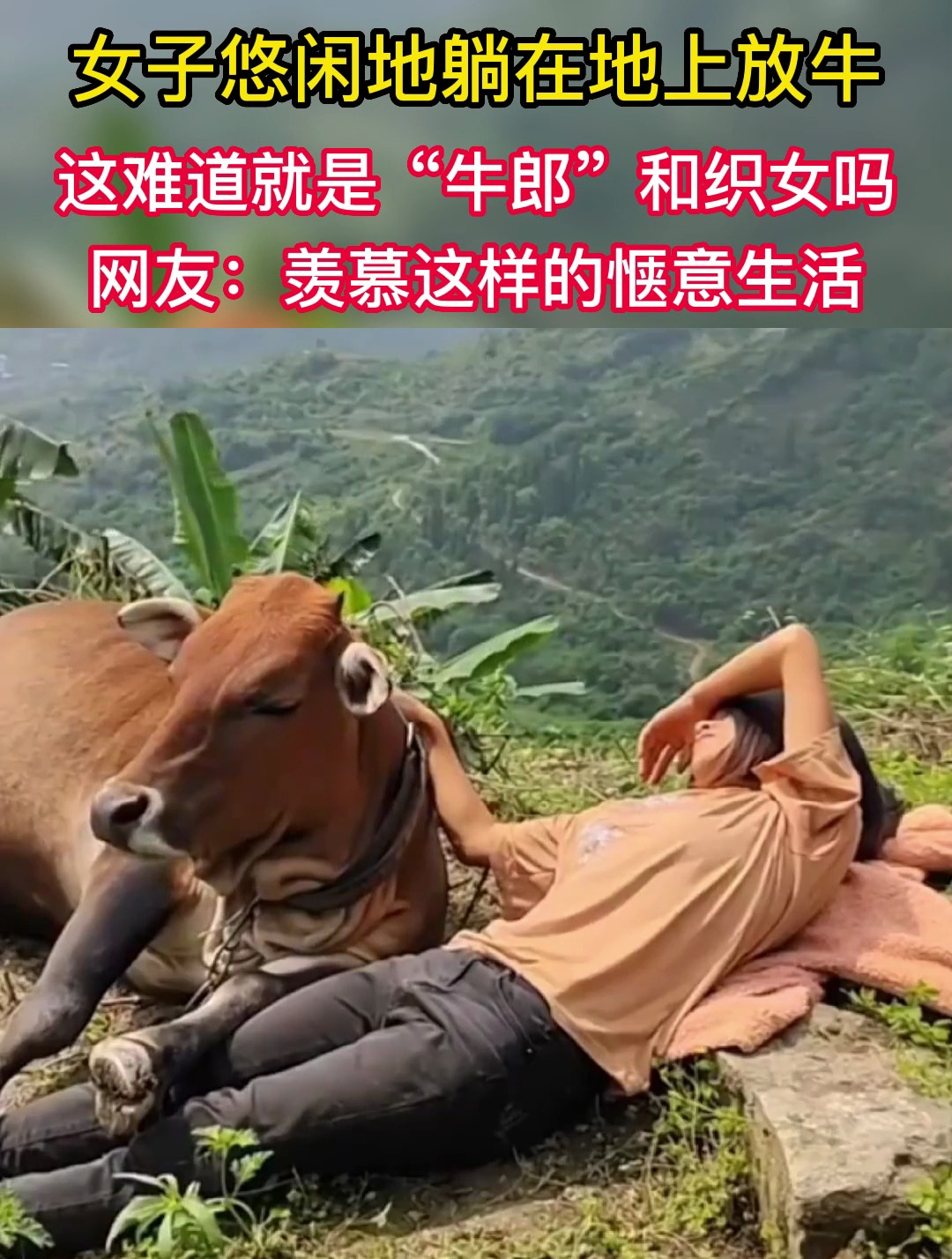 女子悠闲地躺在地上放牛,这难道就是"牛郎"和织女吗