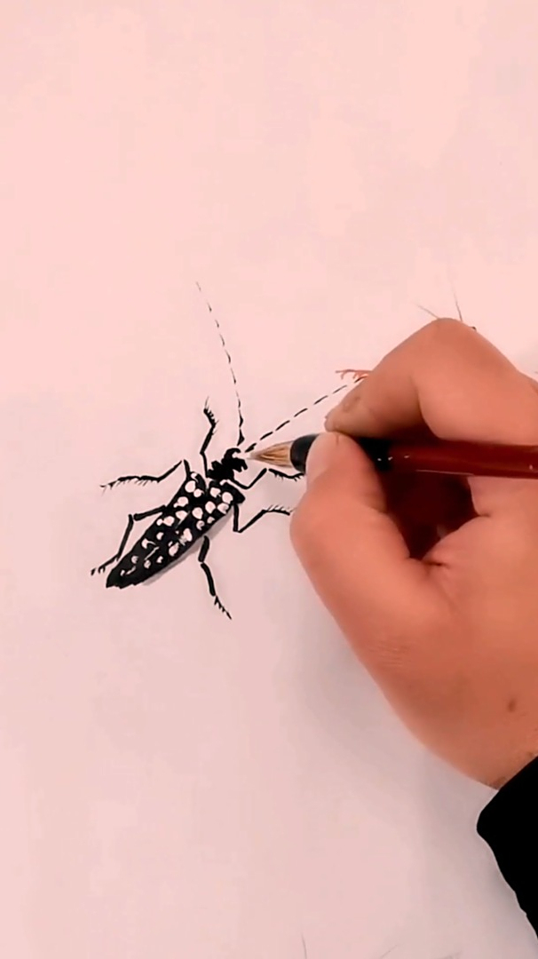 好看的国画,教你画天牛,零基础学画画,奋斗改变命运-度小视