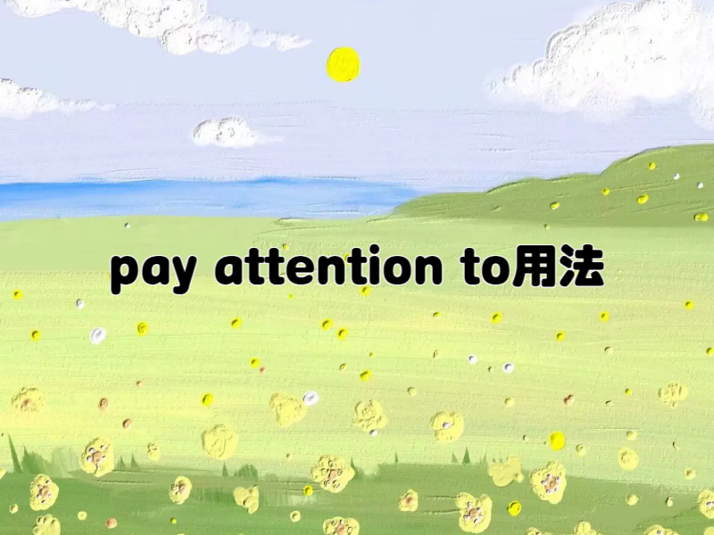pay attention to用法