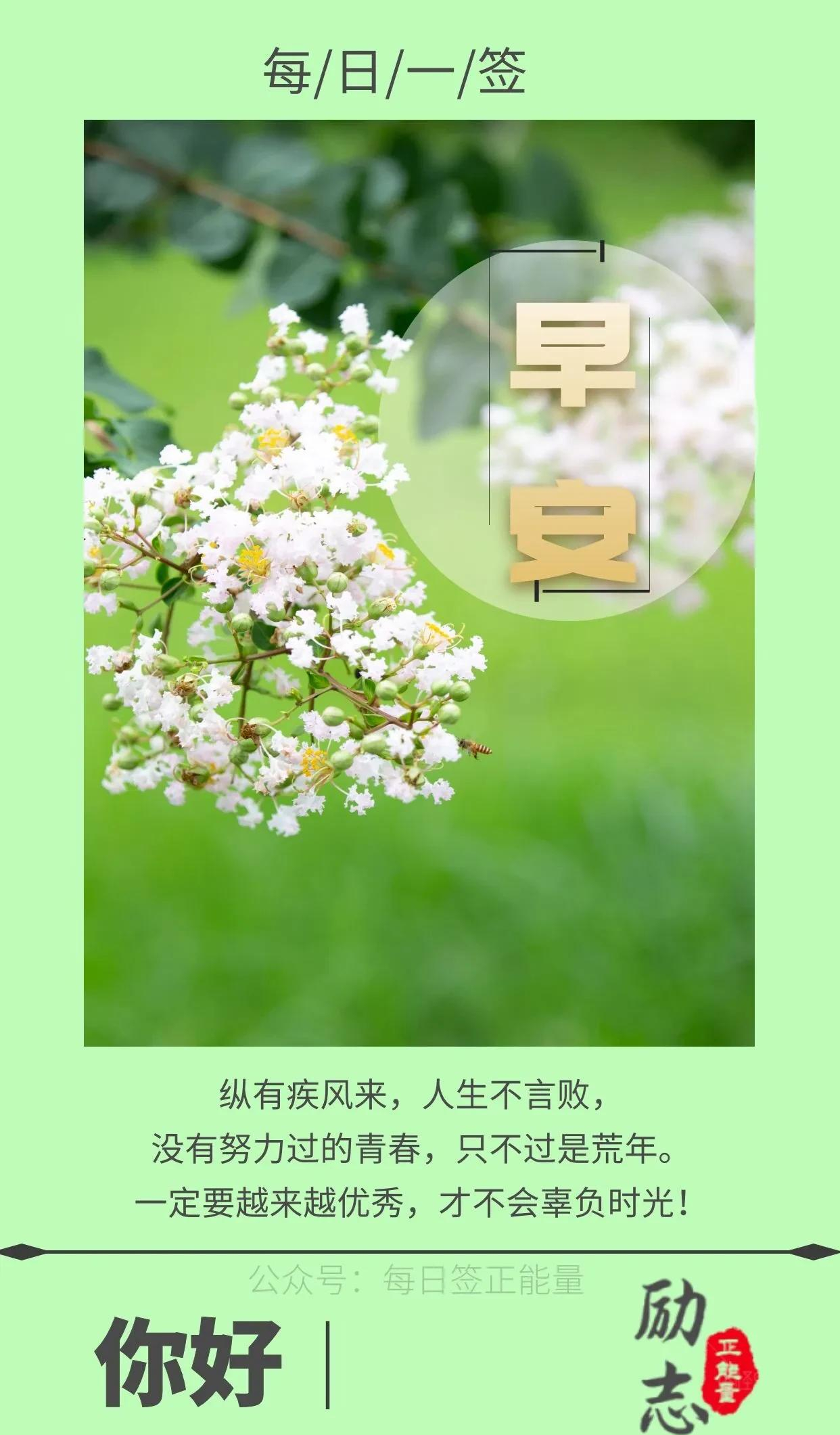 「早安微语」每天欣赏着文字唯美图片,人生是一场自我完善的修行