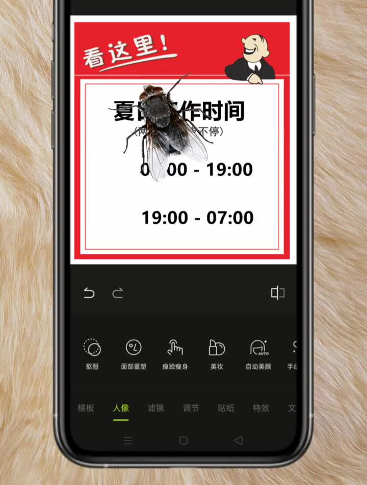 夏日两班倒工作最勤快的,苍蝇晚上偶尔也会加班-度小视