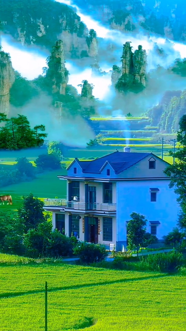 优美风景:日子虽然清淡,却有很多细碎的美好,如太阳