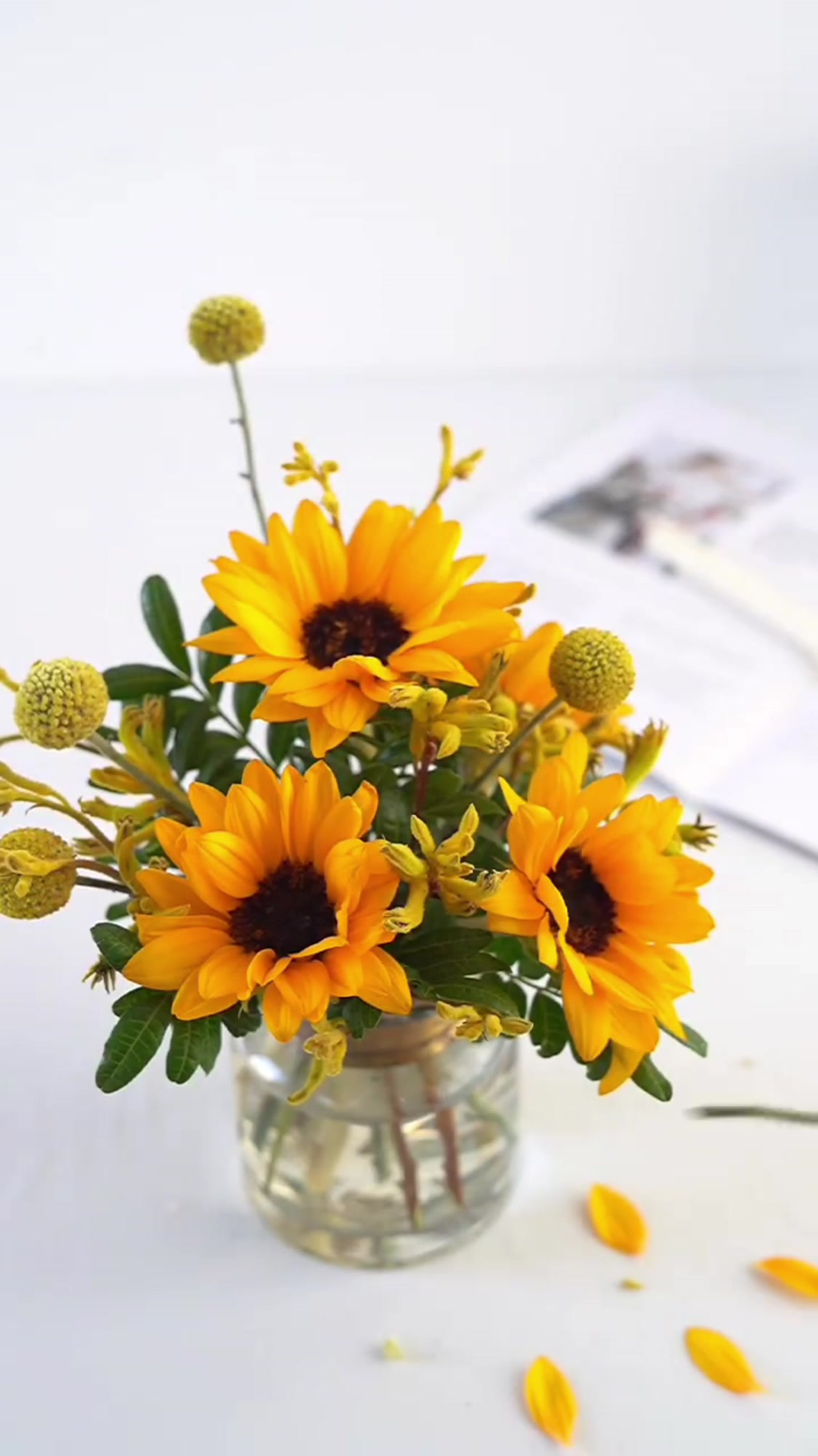 向日葵瓶插花教学